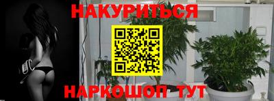 jwh Обь