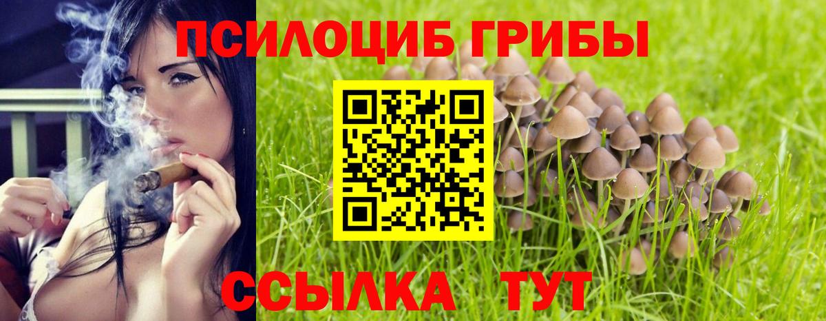 Таганрог  Галлюциногенные грибы Cubensis  Вход с VPN  Галлюциногенные грибы мицелий 